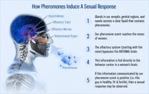 human pheromone spray