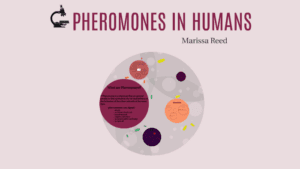 cologne with pheromones
